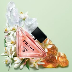 Prada Paradoxe
