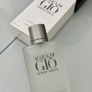 Acqua di Gio Giorgio Armani edt - 100ML